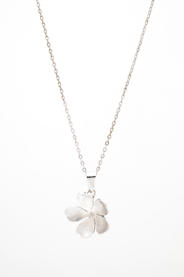 Colgante Linneo con forma de flor en plata de ley sobre fondo blanco